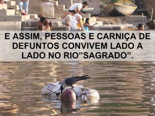 E ASSIM, PESSOAS E CARNIÇA DE DEFUNTOS CONVIVEM LADO A LADO NO RIO”SAGRADO”. 