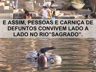 E ASSIM, PESSOAS E CARNIÇA DE DEFUNTOS CONVIVEM LADO A LADO NO RIO”SAGRADO”. 