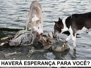 HAVERÁ ESPERANÇA PARA VOCÊ? 