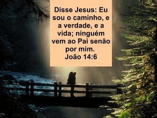 Disse Jesus: Eu sou o caminho, e a verdade, e a vida; ninguém vem ao Pai senão por mim.  João 14:6 