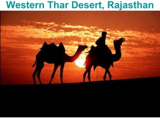 Western Thar Desert, Rajasthan 