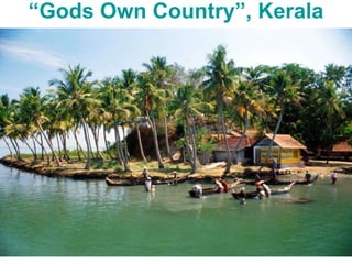 “ Gods Own Country”, Kerala 