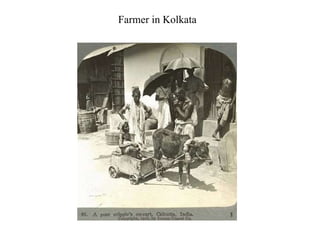 Farmer in Kolkata 