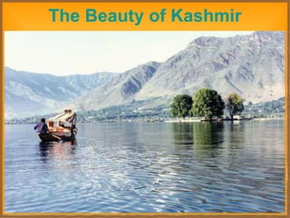 The Beauty of Kashmir 