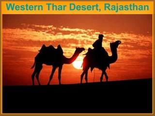 Western Thar Desert, Rajasthan 