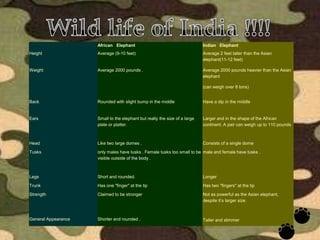 Asian African Elephants Wild life of India !!!!