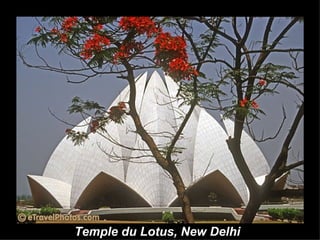 Temple du Lotus, New Delhi   