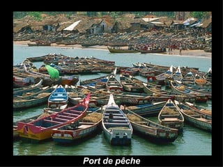 Port de pêche 