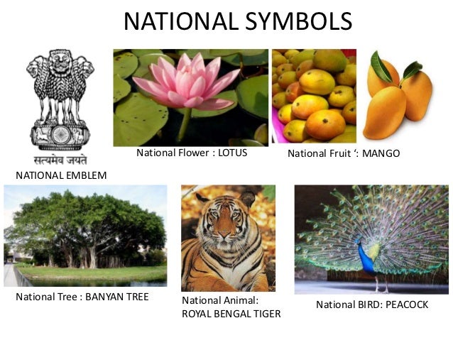 India india
