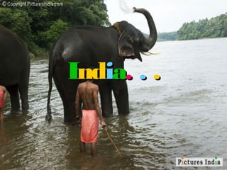 India. . .
 