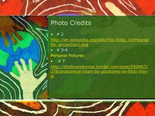 Photo Credits
• #2
http://en.wikipedia.org/wiki/File:India_(orthograp
hic_projection).svg
• # 3-6
Personal Pictures
• #7
http://thisloveisforreal.tumblr.com/post/5509972
378/anatomical-heart-by-glockoma-on-flickr-thisis

 