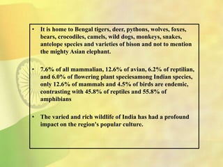 • It is home to Bengal tigers, deer, pythons, wolves, foxes,
bears, crocodiles, camels, wild dogs, monkeys, snakes,
antelope species and varieties of bison and not to mention
the mighty Asian elephant.
• 7.6% of all mammalian, 12.6% of avian, 6.2% of reptilian,
and 6.0% of flowering plant speciesamong Indian species,
only 12.6% of mammals and 4.5% of birds are endemic,
contrasting with 45.8% of reptiles and 55.8% of
amphibians
• The varied and rich wildlife of India has had a profound
impact on the region's popular culture.
 