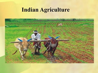 Indian Agriculture
 