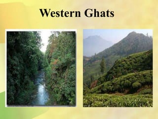 Western Ghats
 