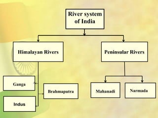 River system
of India
Himalayan Rivers Peninsular Rivers
Indus
Brahmaputra Mahanadi Narmada
Ganga
 