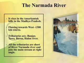 The Narmada River
 It rises in the Amarkantak
hills in the Madhya Pradesh.
 Flowing towards West -1300
km course.
 Tributaries are- Banjar,
Tawa, Barna, Halon river.
 All the tributaries are short
of River Narmada river and
join the main stream at right
angle.
 