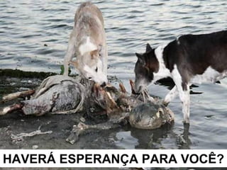 HAVERÁ ESPERANÇA PARA VOCÊ?HAVERÁ ESPERANÇA PARA VOCÊ?
 