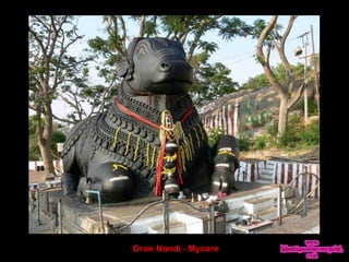 Gran Nandi - Mysore
 