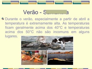Verão - Samantha
Durante o verão, especialmente a partir de abril a
temperatura é extremamente alta. As temperaturas
ficam geralmente acima dos 40°C e temperaturas
acima dos 50°C não são incomuns em alguns
lugares.
 