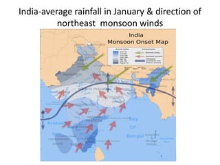 India-average rainfall in January & direction of
          northeast monsoon winds
 