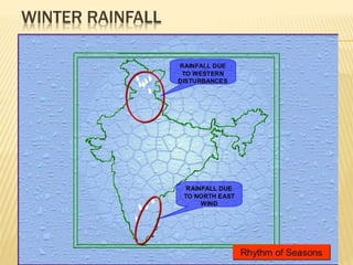 WINTER RAINFALL
 