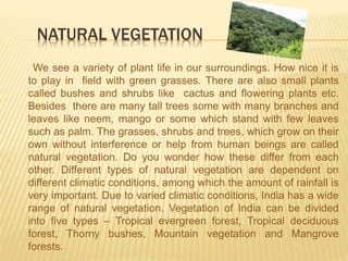 NATURAL VEGETATION
We see a variety of plant life in our surroundings. How nice it is
to play in field with green grasses. There are also small plants
called bushes and shrubs like cactus and flowering plants etc.
Besides there are many tall trees some with many branches and
leaves like neem, mango or some which stand with few leaves
such as palm. The grasses, shrubs and trees, which grow on their
own without interference or help from human beings are called
natural vegetation. Do you wonder how these differ from each
other. Different types of natural vegetation are dependent on
different climatic conditions, among which the amount of rainfall is
very important. Due to varied climatic conditions, India has a wide
range of natural vegetation. Vegetation of India can be divided
into five types – Tropical evergreen forest, Tropical deciduous
forest, Thorny bushes, Mountain vegetation and Mangrove
forests.
 