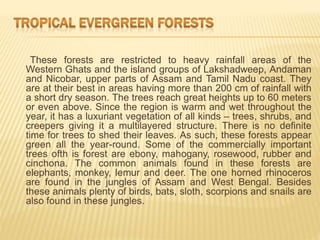 These forests are restricted to heavy rainfall areas of the
Western Ghats and the island groups of Lakshadweep, Andaman
and Nicobar, upper parts of Assam and Tamil Nadu coast. They
are at their best in areas having more than 200 cm of rainfall with
a short dry season. The trees reach great heights up to 60 meters
or even above. Since the region is warm and wet throughout the
year, it has a luxuriant vegetation of all kinds – trees, shrubs, and
creepers giving it a multilayered structure. There is no definite
time for trees to shed their leaves. As such, these forests appear
green all the year-round. Some of the commercially important
trees ofth is forest are ebony, mahogany, rosewood, rubber and
cinchona. The common animals found in these forests are
elephants, monkey, lemur and deer. The one horned rhinoceros
are found in the jungles of Assam and West Bengal. Besides
these animals plenty of birds, bats, sloth, scorpions and snails are
also found in these jungles.
 