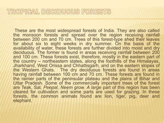 These are the most widespread forests of India. They are also called
the monsoon forests and spread over the region receiving rainfall
between 200 cm and 70 cm. Trees of this forest-type shed their leaves
for about six to eight weeks in dry summer. On the basis of the
availability of water, these forests are further divided into moist and dry
deciduous. The former is found in areas receiving rainfall between 200
and 100 cm. These forests exist, therefore, mostly in the eastern part of
the country – northeastern states, along the foothills of the Himalayas,
Jharkhand, West Orissa and Chhattisgarh, and on the eastern slopes of
the Western Ghats. The dry deciduous forests are found in areas
having rainfall between 100 cm and 70 cm. These forests are found in
the rainier parts of the peninsular plateau and the plains of Bihar and
Uttar Pradesh. Some of the commercially important trees of the forest
are Teak, Sal, Peepal, Neem grow. A large part of this region has been
cleared for cultivation and some parts are used for grazing. In these
forests, the common animals found are lion, tiger, pig, deer and
elephant.
 
