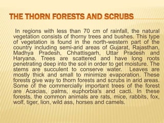 In regions with less than 70 cm of rainfall, the natural
vegetation consists of thorny trees and bushes. This type
of vegetation is found in the north-western part of the
country including semi-arid areas of Gujarat, Rajasthan,
Madhya Pradesh, Chhattisgarh, Uttar Pradesh and
Haryana. Trees are scattered and have long roots
penetrating deep into the soil in order to get moisture. The
stems are succulent to conserve water. Leaves are
mostly thick and small to minimize evaporation. These
forests give way to thorn forests and scrubs in arid areas.
Some of the commercially important trees of the forest
are Acacias, palms, euphorbia's and cacti. In these
forests, the common animals are rats, mice, rabbits, fox,
wolf, tiger, lion, wild ass, horses and camels.
 