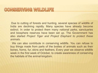 Due to cutting of forests and hunting, several species of wildlife of
India are declining rapidly. Many species have already become
extinct. In order to protect them many national parks, sanctuaries
and biosphere reserves have been set up. The Government has
also started Project Tiger and Project Elephant to protect these
animals.
We can also contribute in conserving wildlife. You can refuse to
buy things made from parts of the bodies of animals such as their
bones, horns, fur, skins and feathers. Every year we observe wildlife
week in the first week of October, to create awareness of conserving
the habitats of the animal kingdom.
 