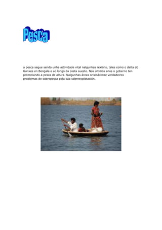 a pesca segue sendo unha actividade vital nalgunhas rexións, tales como o delta do
Ganxes en Bengala e ao longo da costa sueste. Nos últimos anos o goberno ten
potenciando a pesca de altura. Nalgunhas áreas orixináronse verdadeiros
problemas de sobrepesca pola súa sobreexplotación.
 