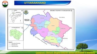 (source: forest department uttarakhand’s statics)
UTTARAKHAND
 