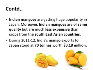 Contd..
• Indian mangoes are getting huge popularity in
Japan. Moreover, Indian mangoes are of same
quality but are much less expensive than
crops from the south East Asian countries.
• During 2011-12, India’s mango exports to
Japan stood at 70 tonnes worth $0.18 million.
 