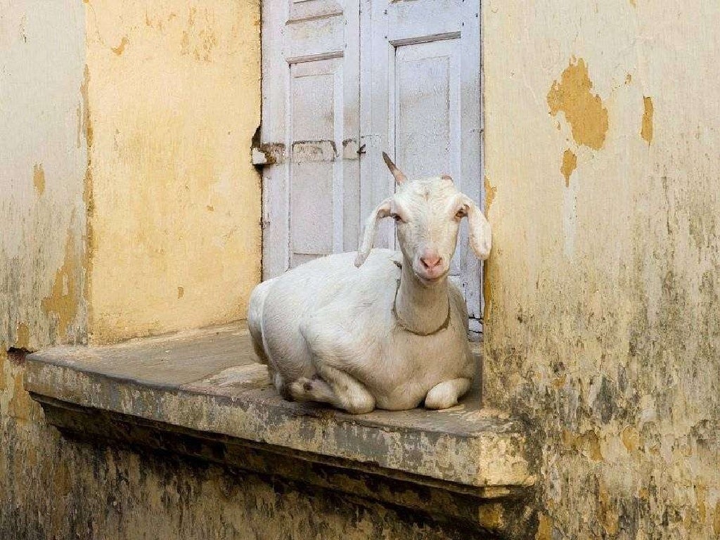 India - Land Of Contrasts