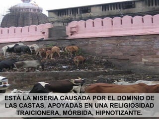 ESTÁ LA MISERIA CAUSADA POR EL DOMINIO DE
LAS CASTAS, APOYADAS EN UNA RELIGIOSIDAD
TRAICIONERA, MÓRBIDA, HIPNOTIZANTE.
 