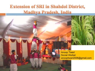 Extension of SRI in Shahdol District,  Madhya Pradesh, India Anoop Tiwari Social Worker anooptiwari2006@gmail.com 