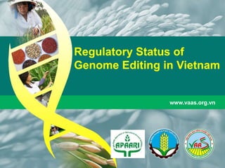 Regulatory Status of
Genome Editing in Vietnam
www.vaas.org.vn
 