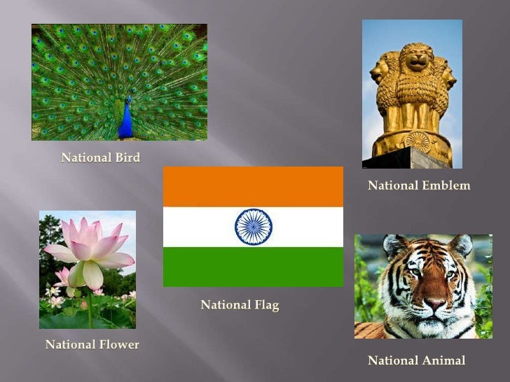 Colours Of India Its Culture And Values colours-of-india-its-culture-and-values