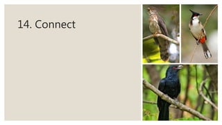 14. Connect
 