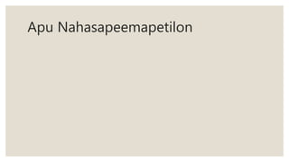 Apu Nahasapeemapetilon
 