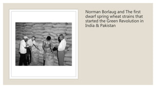 Norman Borlaug and The first
dwarf spring wheat strains that
started the Green Revolution in
India & Pakistan
 