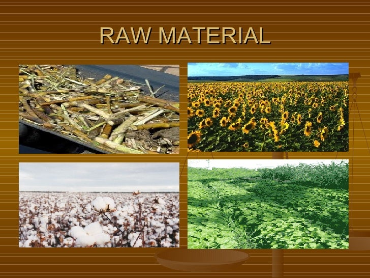 India should focus on agriculture