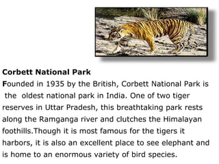 Corbett National Park F ounded in 1935 by the British, Corbett National Park is the  oldest national park in India. One of two tiger  reserves in Uttar Pradesh, this breathtaking park rests  along the Ramganga river and clutches the Himalayan  foothills.Though it is most famous for the tigers it  harbors, it is also an excellent place to see elephant and is home to an enormous variety of bird species.  