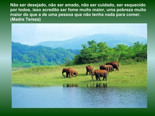 Não ser desejado, não ser amado, não ser cuidado, ser esquecido por todos, isso acredito ser fome muito maior, uma pobreza muito maior do que a de uma pessoa que não tenha nada para comer. (Madre Tereza)  