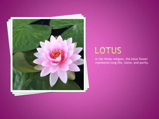 In the Hindu religion, the lotus flower
represents long life, honor, and purity.
 