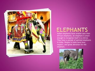 Indian elephants have smaller ears than
African elephants. An elephant is smart
enough to recognize itself in a mirror.
They have a parade of painted elephants
in India. People in India have love,
respect, and great devotion for the
elephant.
 