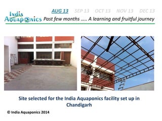 AUG 13 SEP 13 OCT 13 NOV 13 DEC 13
Past few months ….. A learning and fruitful journey

Site selected for the India Aquaponics facility set up in
Chandigarh
© India Aquaponics 2014

 