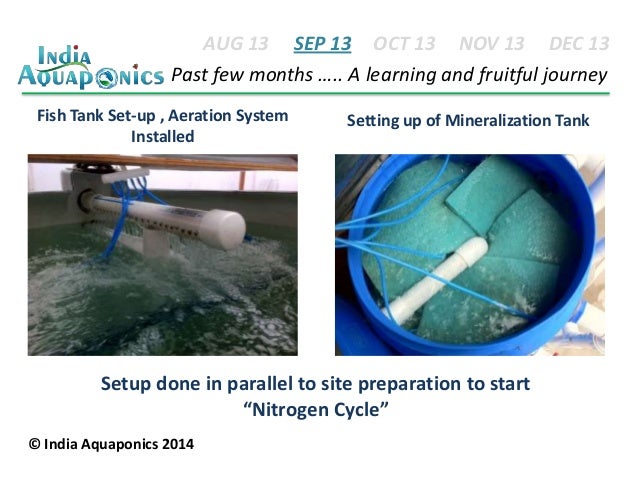 india aquaponics journey