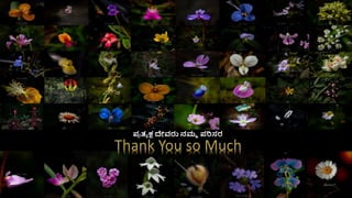 ಪ್
ರ ತ್ಯ ಕ್ಷ ದೇವರು ನಮ್ಮ ಪ್ರಿಸರ
 