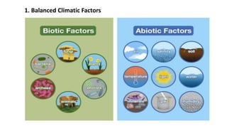 1. Balanced Climatic Factors
 